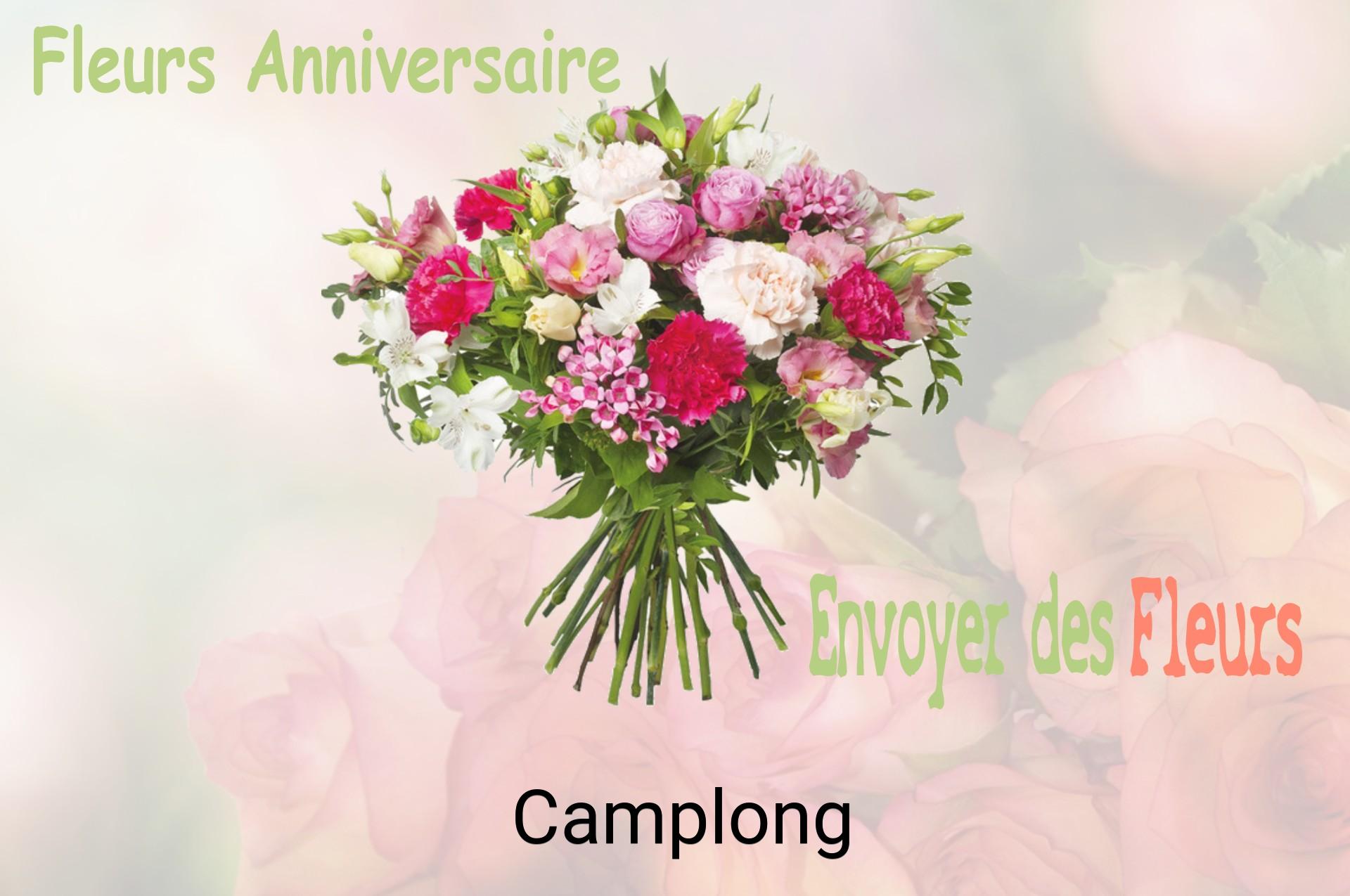Bouquet de fleurs d’anniversaire livré à Camplong