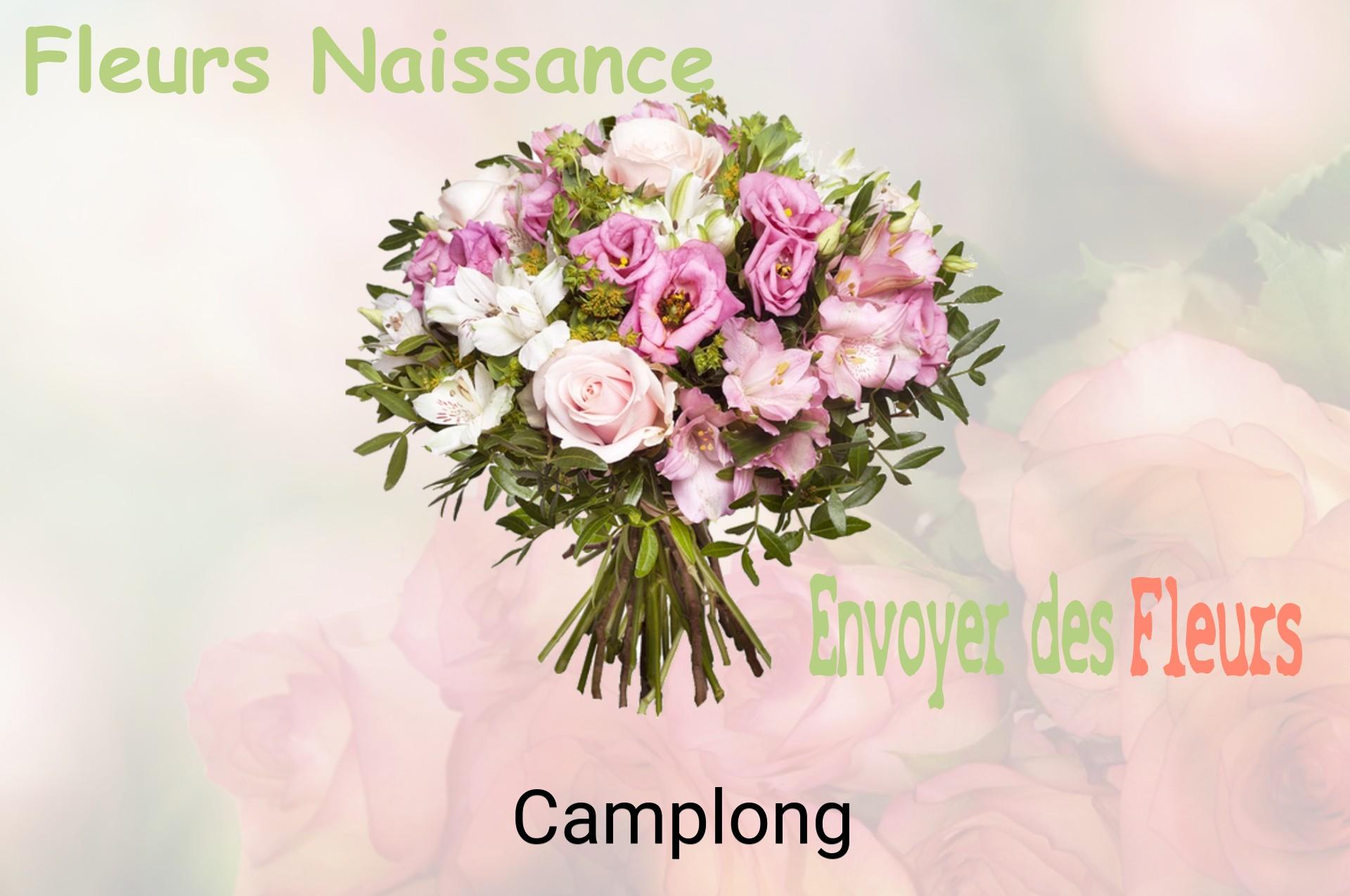 Bouquet de fleurs de naissance livré à Camplong