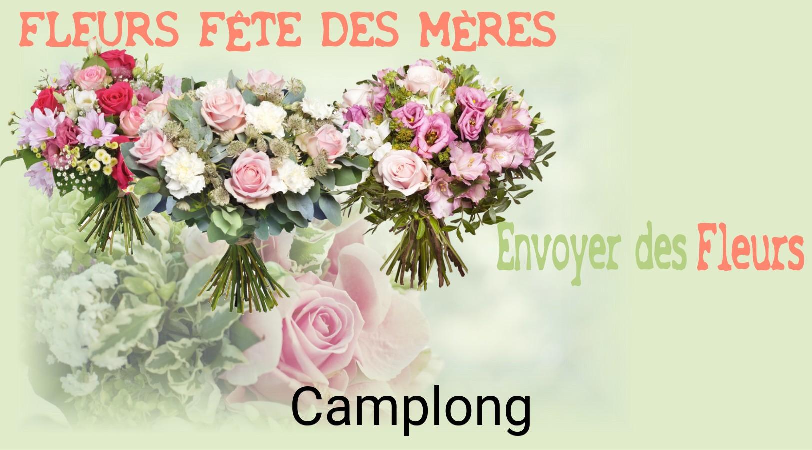 Bouquet de Fête des Mères livré à Camplong